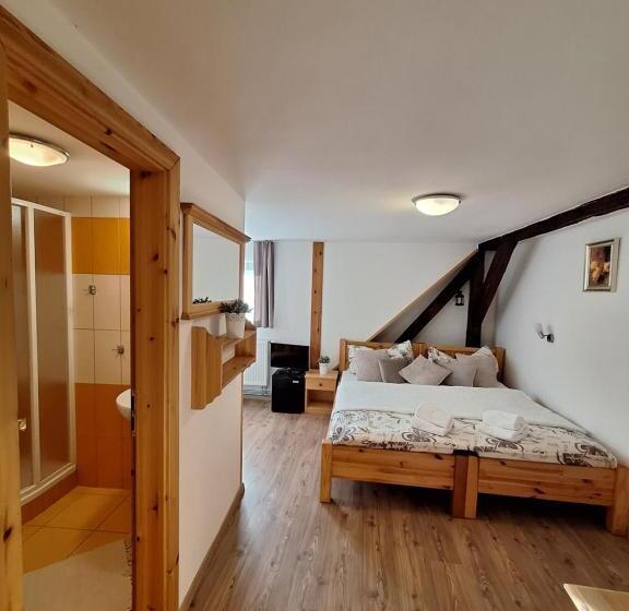 膳宿费 Penzion V Suchu