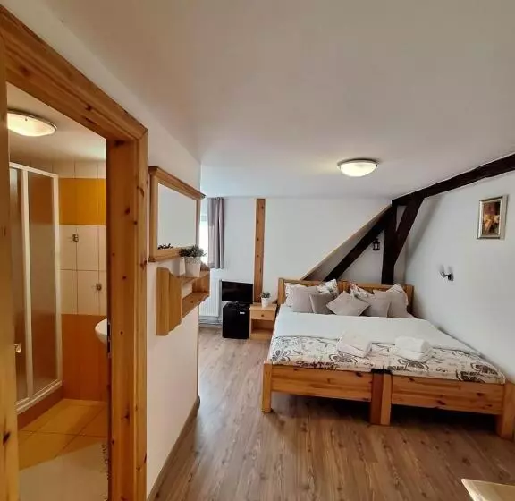 ペンション Penzion V Suchu