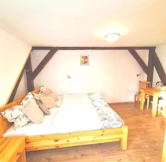 ペンション Penzion V Suchu