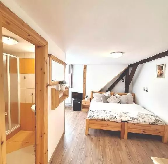 ペンション Penzion V Suchu