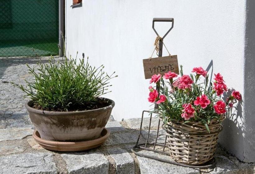 膳宿费 Penzion V Suchu