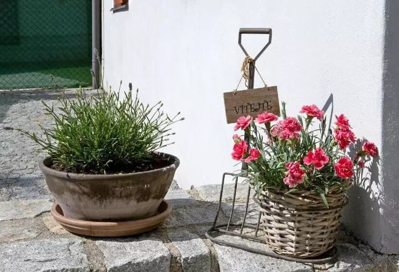 ペンション Penzion V Suchu