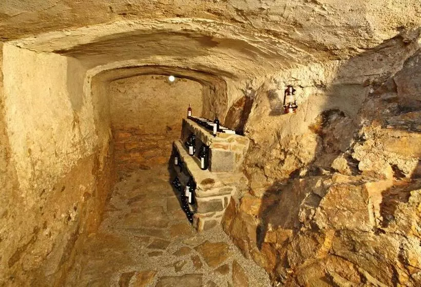 ペンション Penzion V Suchu