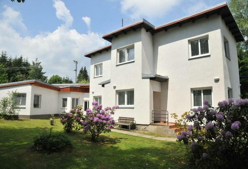 膳宿费 Penzion Ve Vile