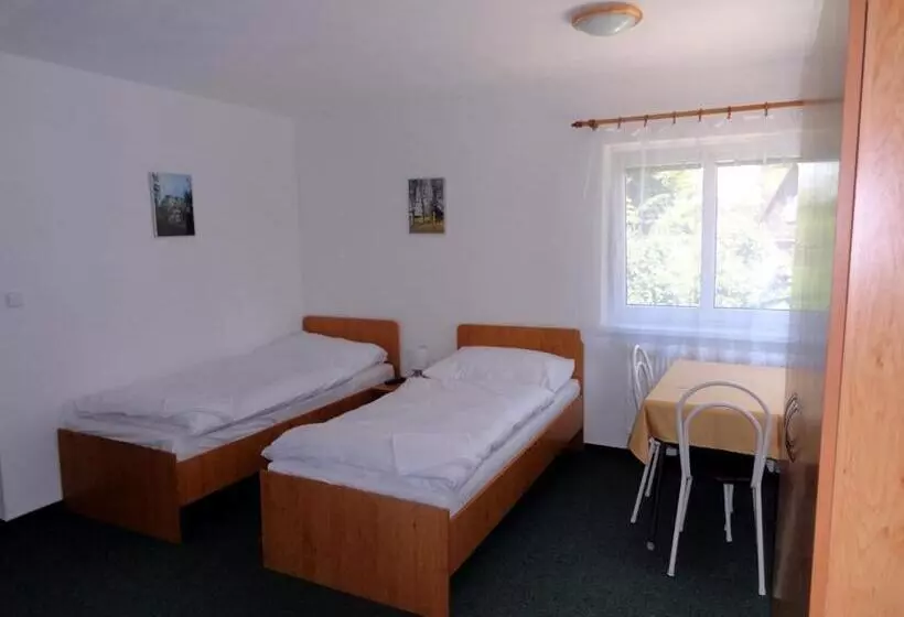 ペンション Penzion Ve Vile