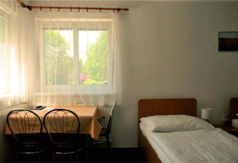 ペンション Penzion Ve Vile