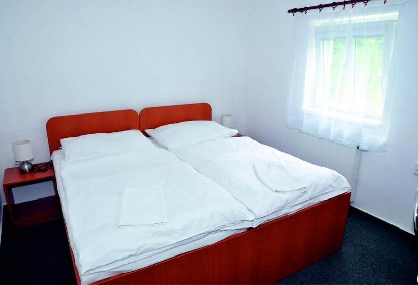 膳宿费 Penzion Ve Vile