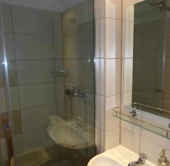 ペンション Penzion Ve Vile