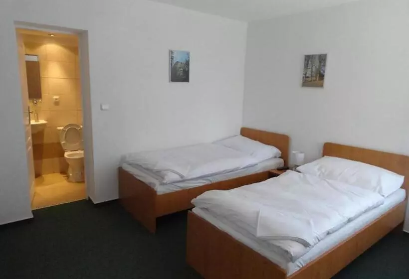 ペンション Penzion Ve Vile