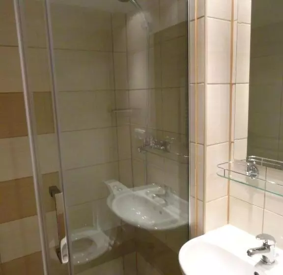 ペンション Penzion Ve Vile