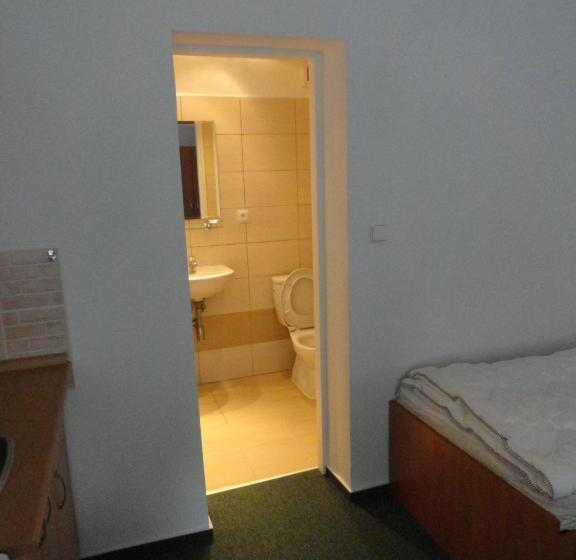 膳宿费 Penzion Ve Vile