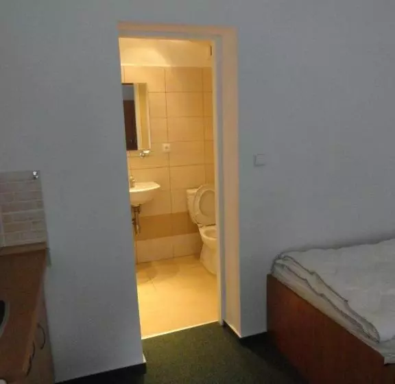 ペンション Penzion Ve Vile