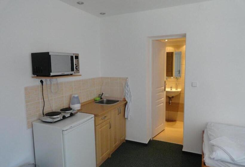 膳宿费 Penzion Ve Vile