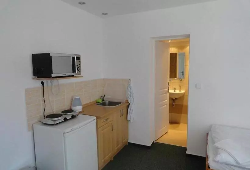 ペンション Penzion Ve Vile