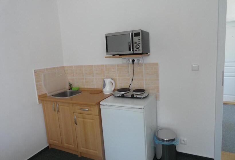 膳宿费 Penzion Ve Vile