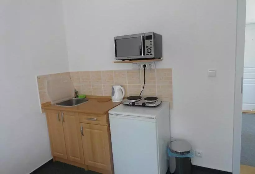 ペンション Penzion Ve Vile