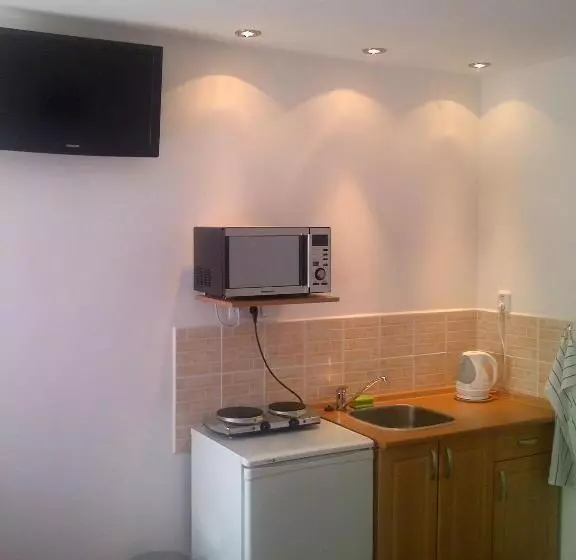 ペンション Penzion Ve Vile