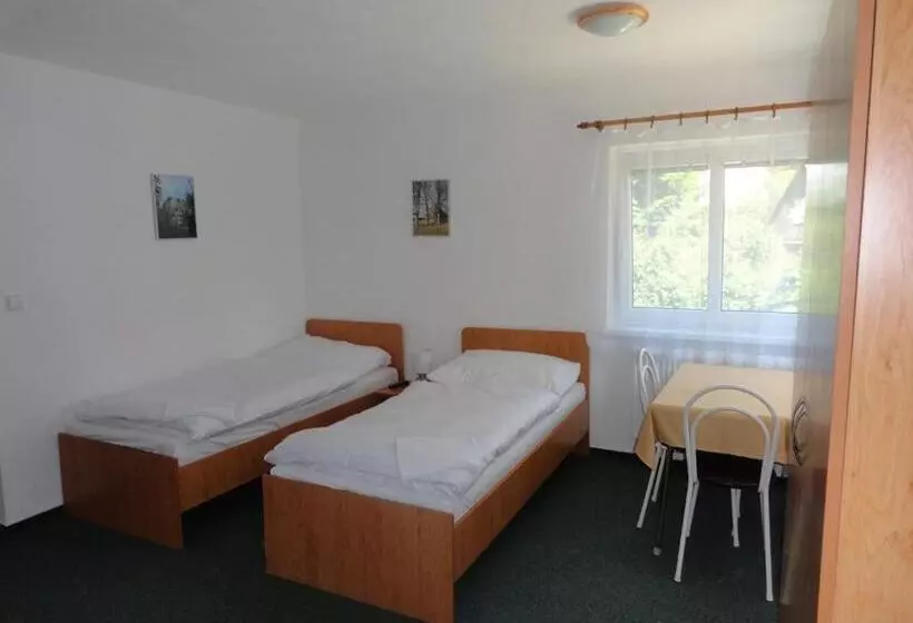 ペンション Penzion Ve Vile