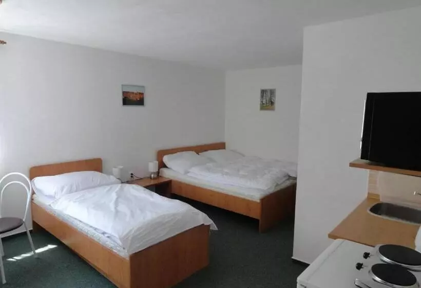 ペンション Penzion Ve Vile