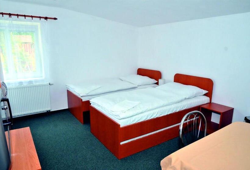 膳宿费 Penzion Ve Vile