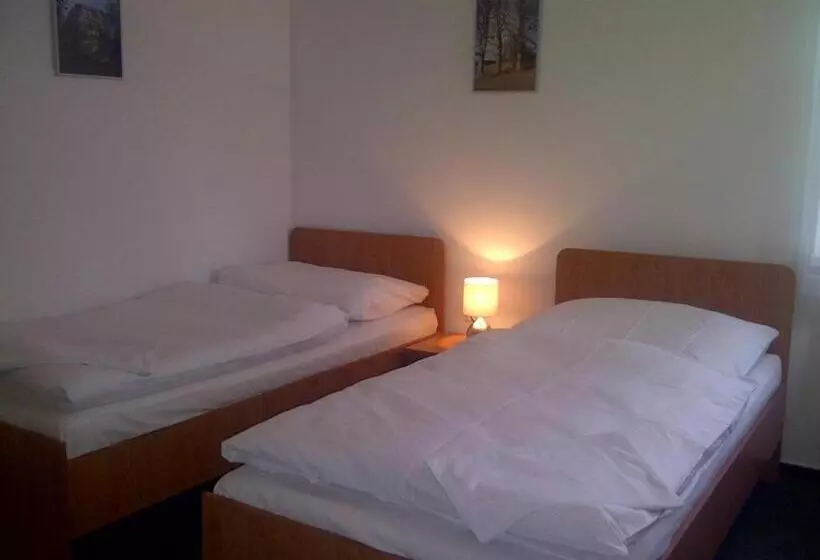 ペンション Penzion Ve Vile