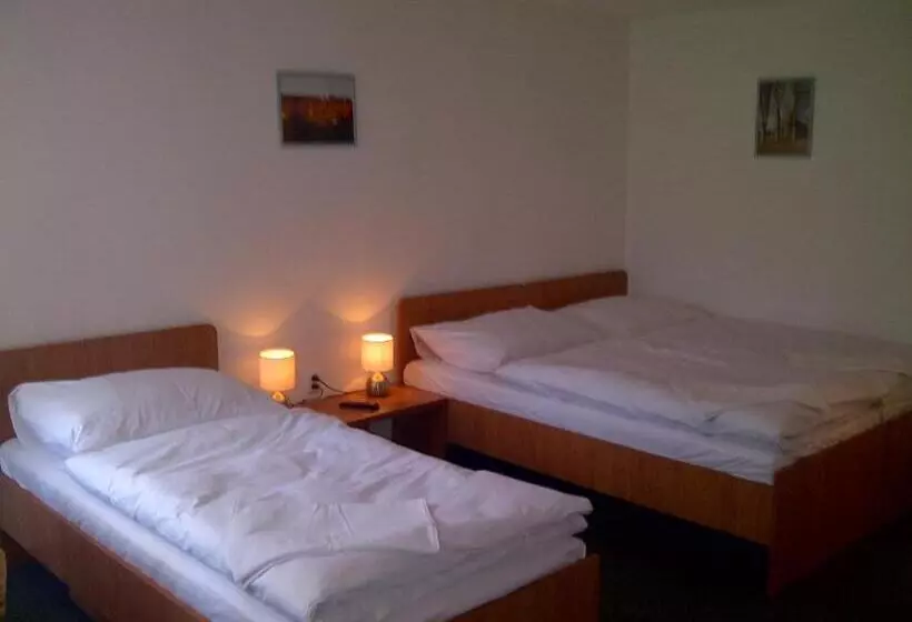 ペンション Penzion Ve Vile