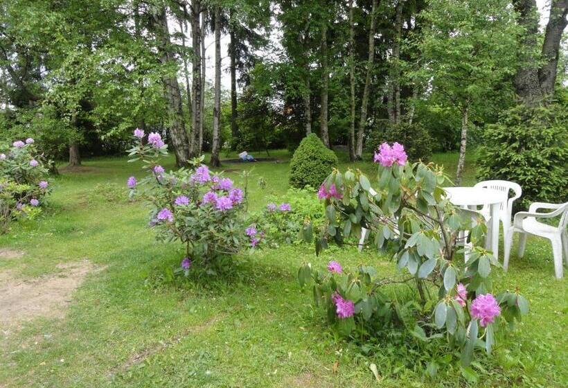 膳宿费 Penzion Ve Vile