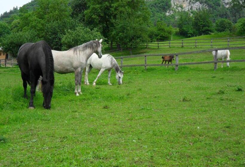 פנסיון Rooms And Apartments Jerman