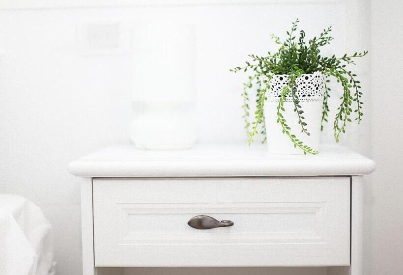 بنسيون Vico Cavour