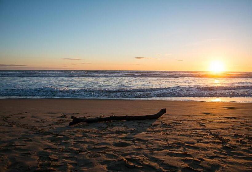 Serapo Bed And Breakfast