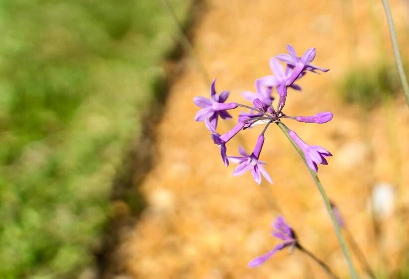 Apartment Residence Golf , With Garden And Pool