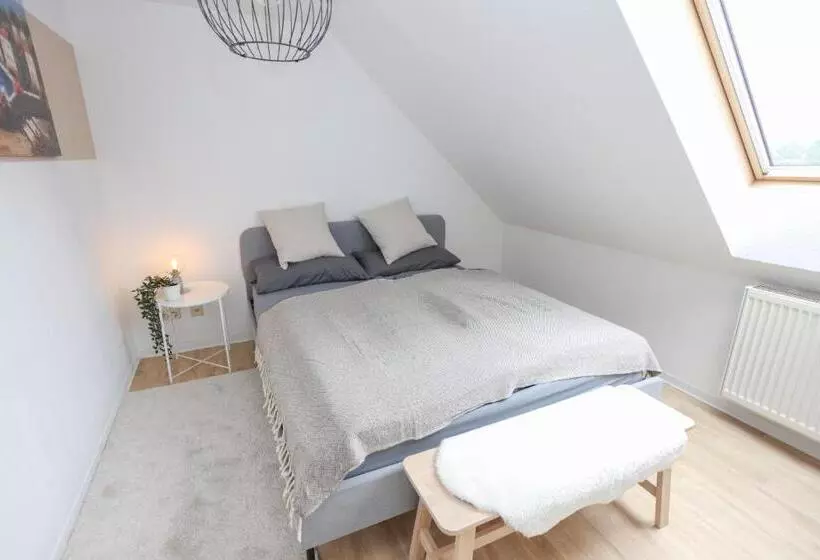 Fullhouse   Eisenach   K70 Apartments   Washing Machine   Smarttv