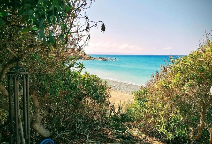 Shambala Beach House Where Mountains Meet The Sea