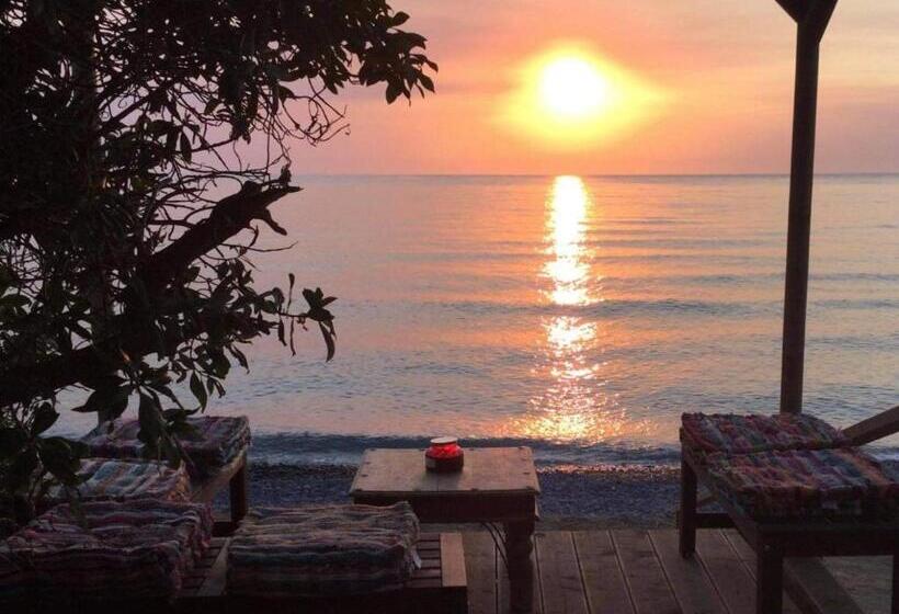 Shambala Beach House Where Mountains Meet The Sea