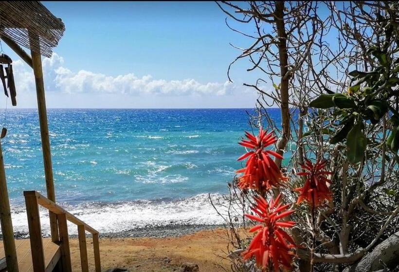 Shambala Beach House Where Mountains Meet The Sea