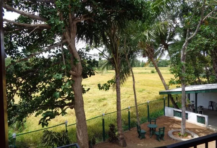 Majatalo Man Guest Polonnaruwa