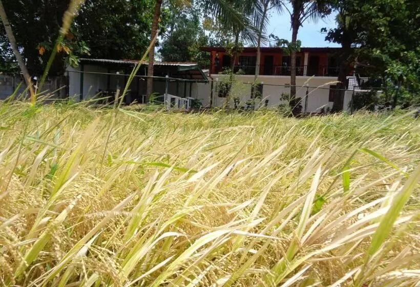 Majatalo Man Guest Polonnaruwa