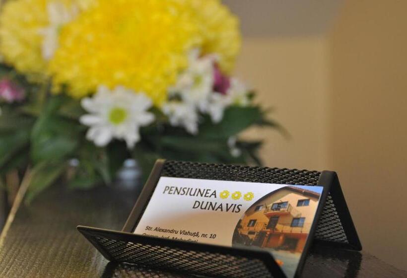Pensiunea Dunavis