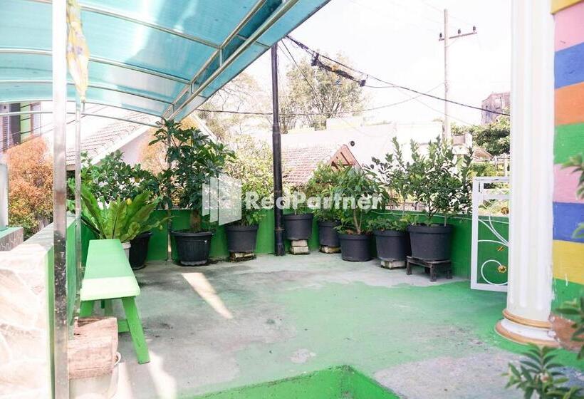 Hotel Griya Imafa Inn Mitra Reddoorz