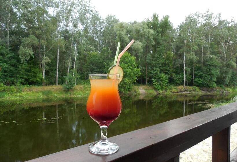 ホテル котедж парк славна