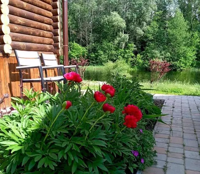 ホテル котедж парк славна