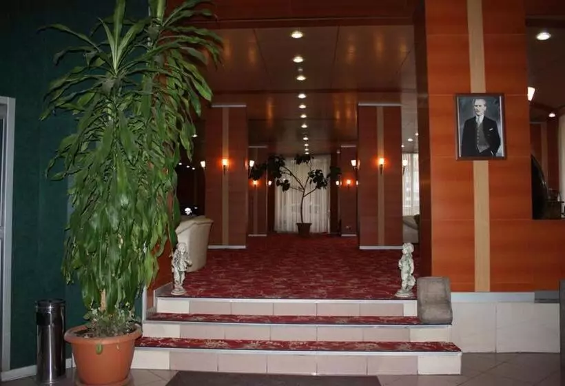 Otel Ami̇ller