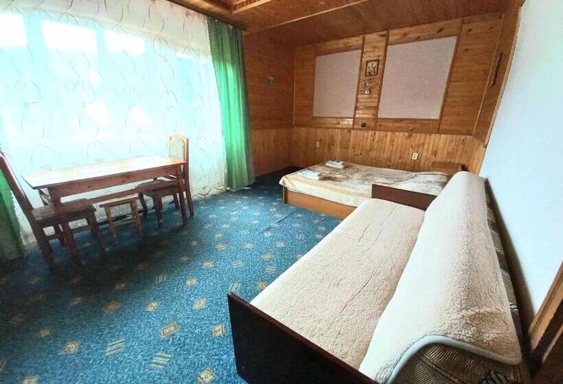 Pension (Hôtel basse catégorie) у тараса і лесі