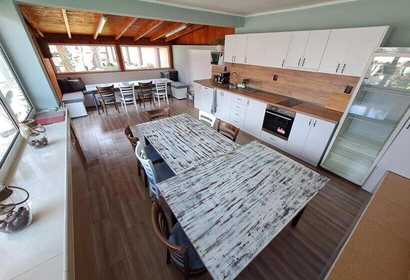 بنسيون приятелската къща