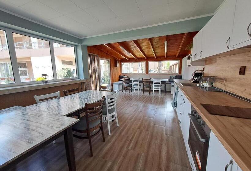 بنسيون приятелската къща