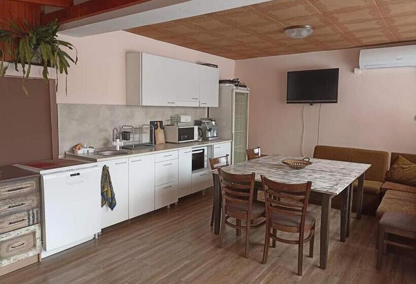 بنسيون приятелската къща