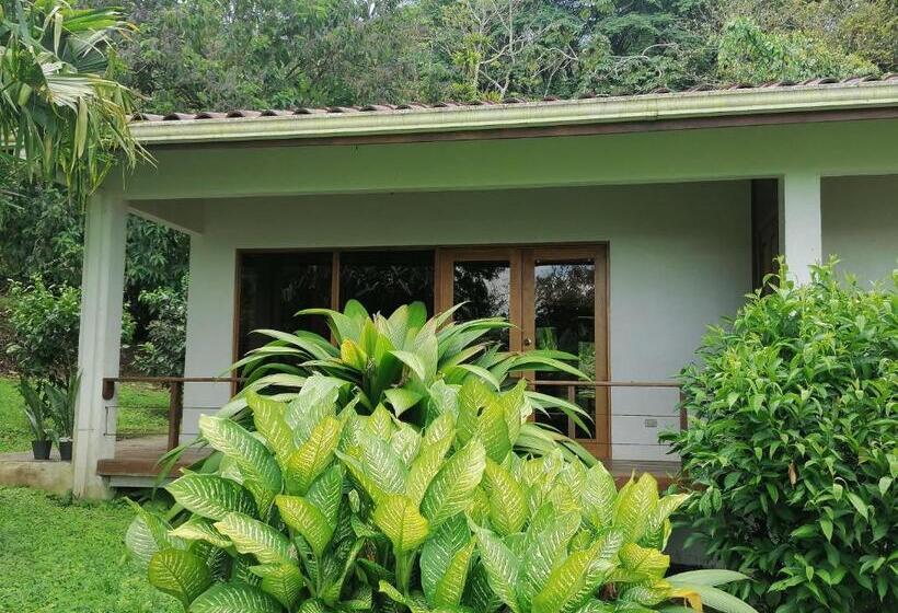 민박 La Ceiba Tree Lodge