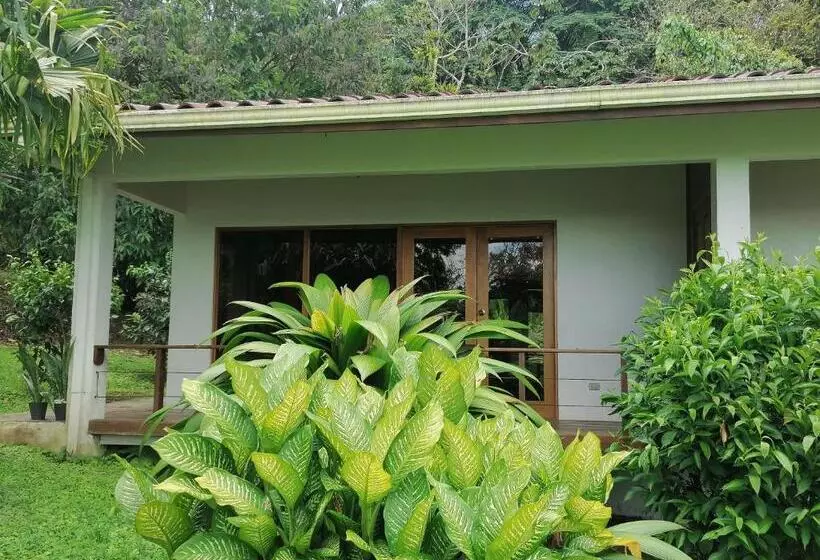 Aamiaismajoitus (B&B) La Ceiba Tree Lodge