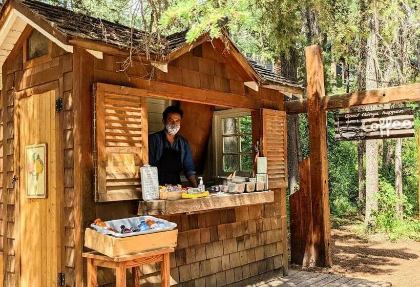 استراحتگاه Johnston Canyon Lodge & Bungalows