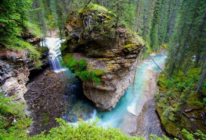 استراحتگاه Johnston Canyon Lodge & Bungalows